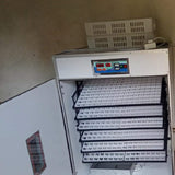 Automatic Egg Incubators