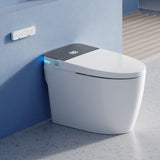 Bolesi Smart Toilet – Modern Luxury Bathroom Upgrade