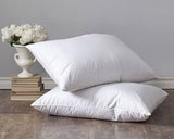 Compressed Heavy-Filled Fibre Pillow – 1000g