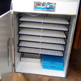 Automatic Egg Incubators