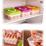 24 EGG CONTAINERS